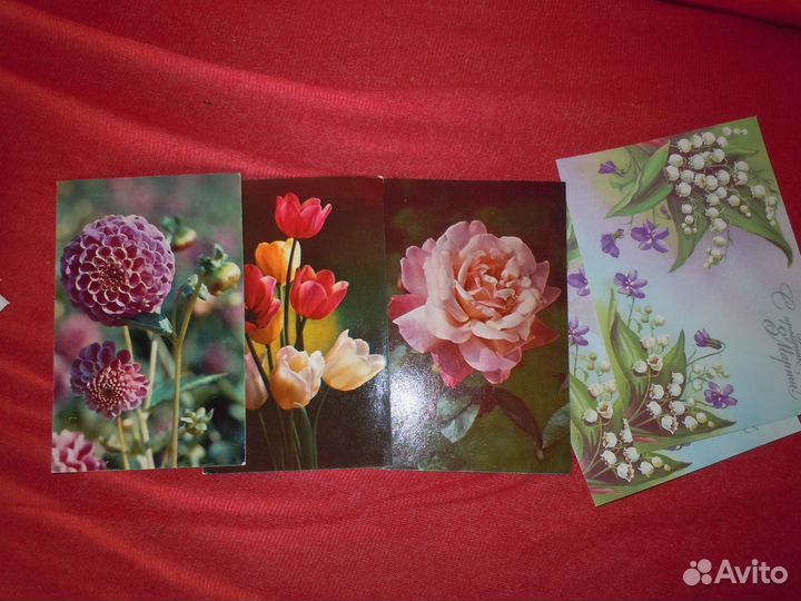 Открытки СССР