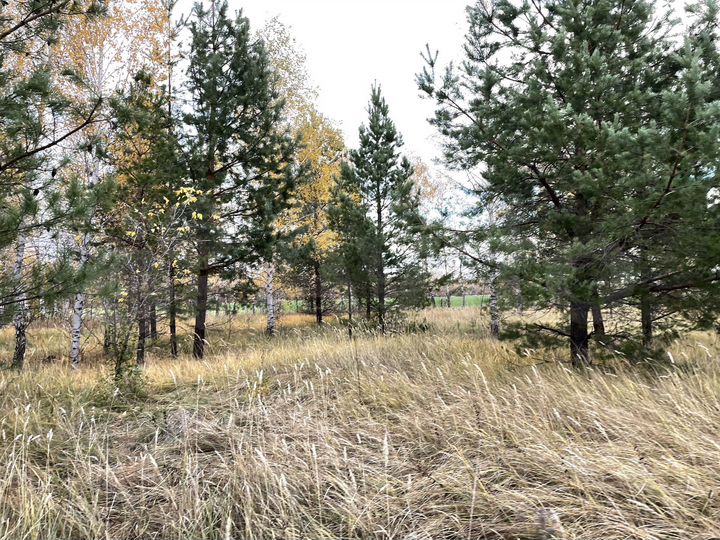 Участок 9,5 га (СНТ, ДНП)