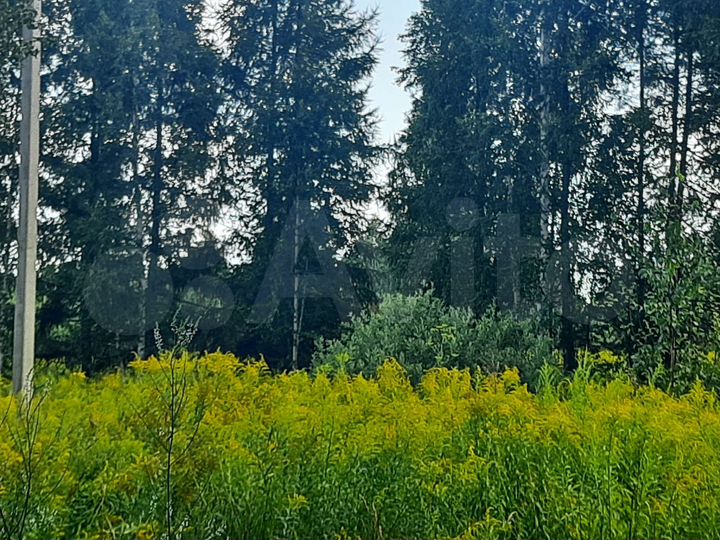 Участок 1,49 га (ИЖС)