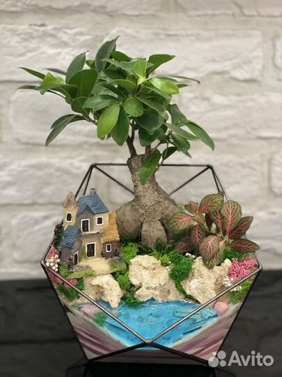 Флорариумы на учителю,воспитателю