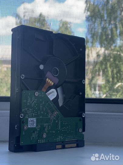 WD Blue 250Gb Жесткий диск