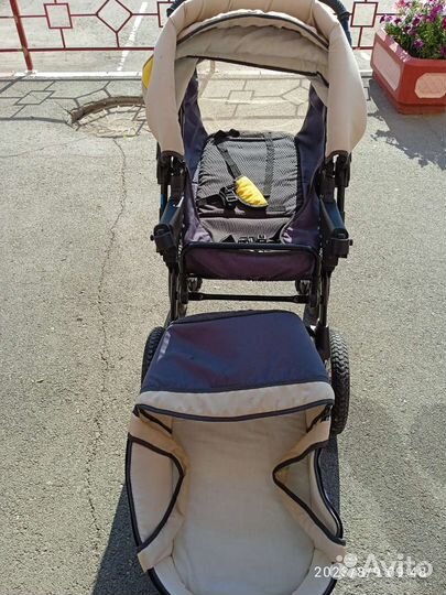 Коляска 3 в 1 avant