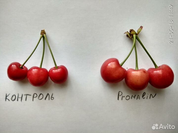 Промалин 500 мл (Promalin)