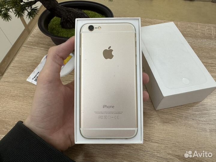 iPhone 6, 64 ГБ