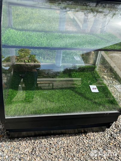 Холодильник витринный