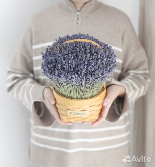 Лаванда в корзине