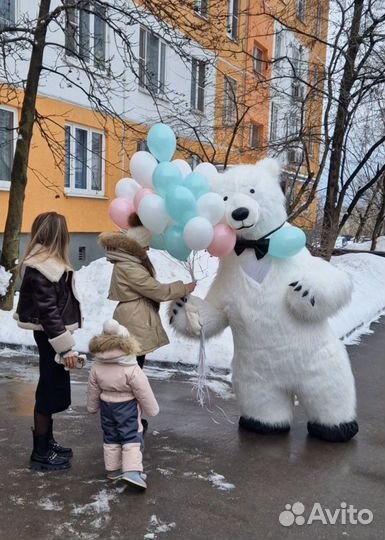 Аниматор Поздравление Белого Медведя или Зайки