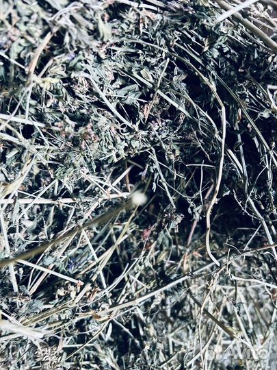 Сено люцерны хорошего качества