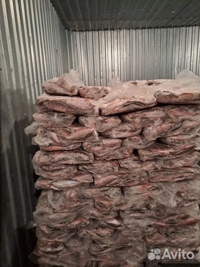 Реализую пелядь (сырок) опт от 2 тонн