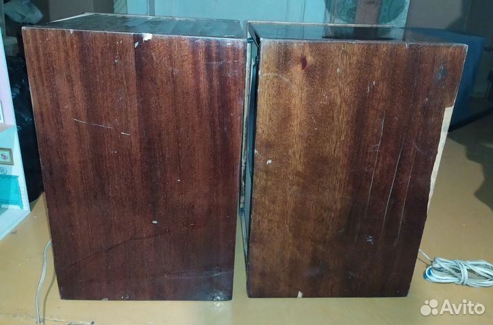 Акустическая система 10Мас