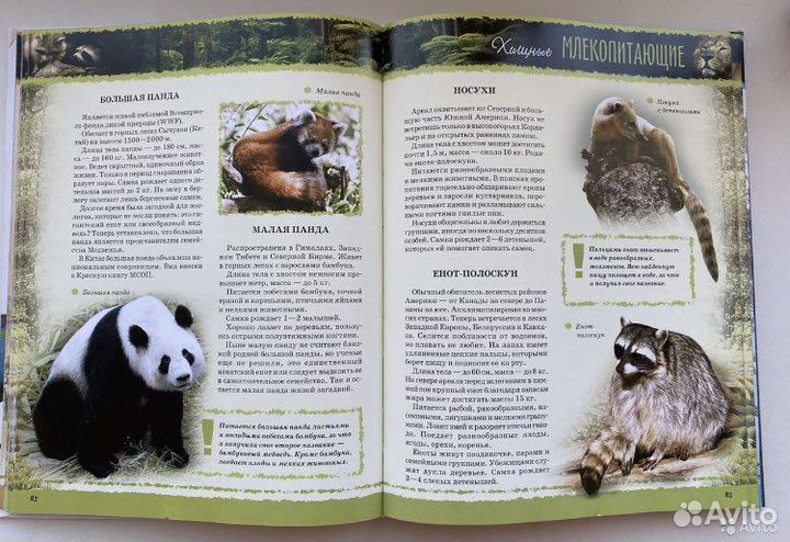 Энциклопедия «Животных»