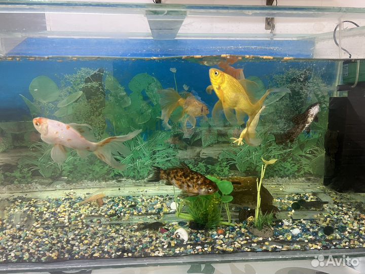 Украшение для аквариума