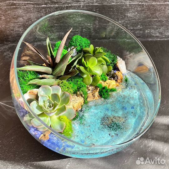 Флорариум с суккулентами