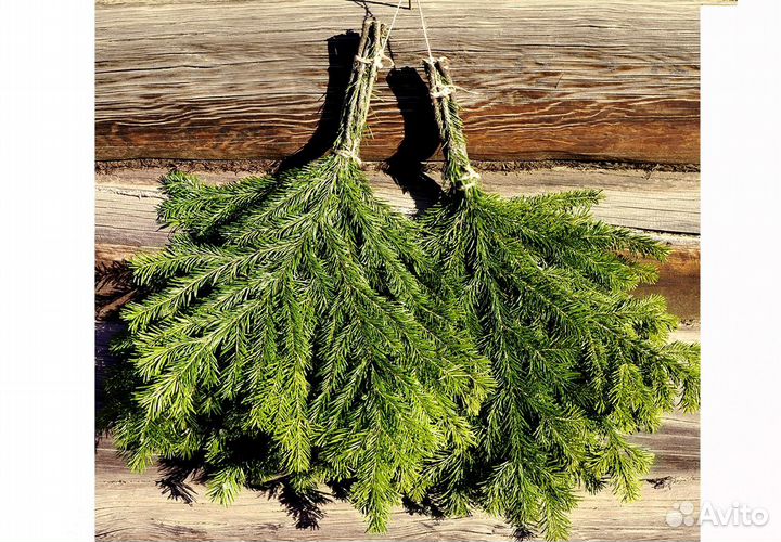 Веники для бани, берёзовые, пихтовые