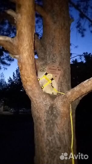 Шлейка с поводком