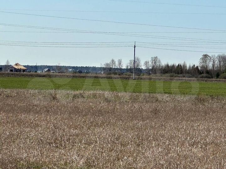 Участок 6 сот. (ИЖС)