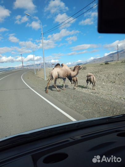 Трансфер межгород, экскурсионные туры, свадьбы
