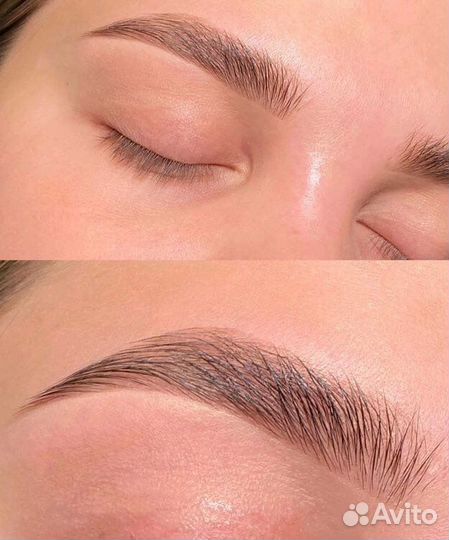 Курс Мастер-Бровист