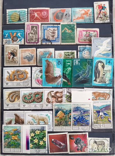 Почтовые марки СССР с 1950 г.г Спорт