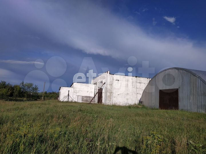 Участок 48,6 сот. (промназначения)