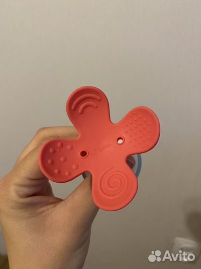 Грызунок pigeon