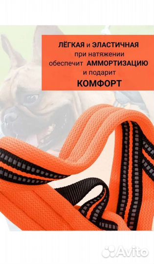 Анатомическая шлейка для собак Мони