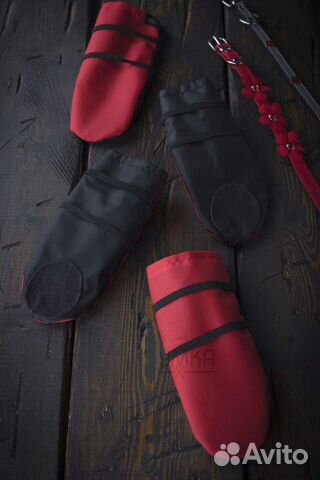 Обувь для собак 