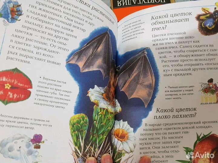 Энциклопедия Почемучки