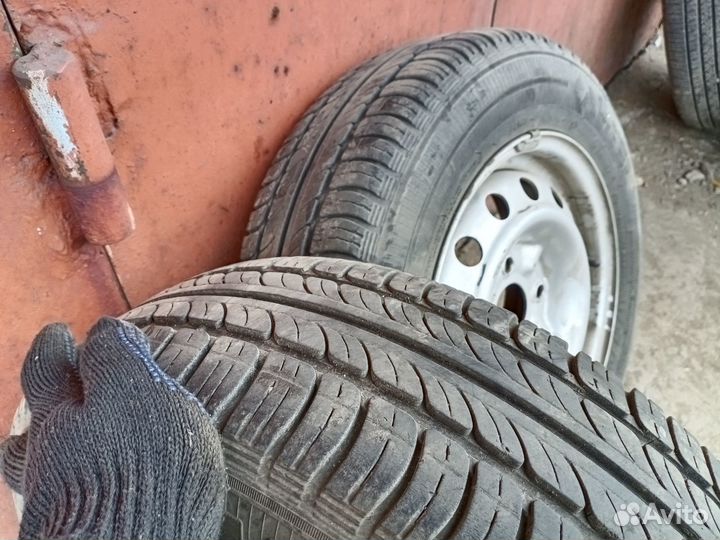 Колеса R14 на Nissan (175/70 Amtel; 185/65 Maxxis)