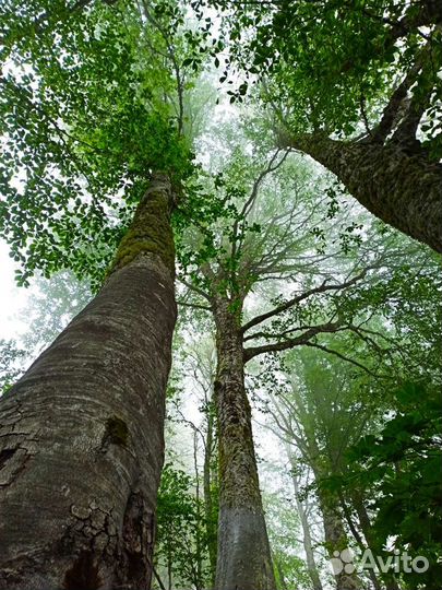 Поход треккинг к Водопаду Кейва,Красная Поляна