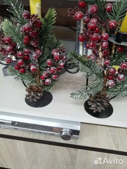 Сосновые шишки для декора