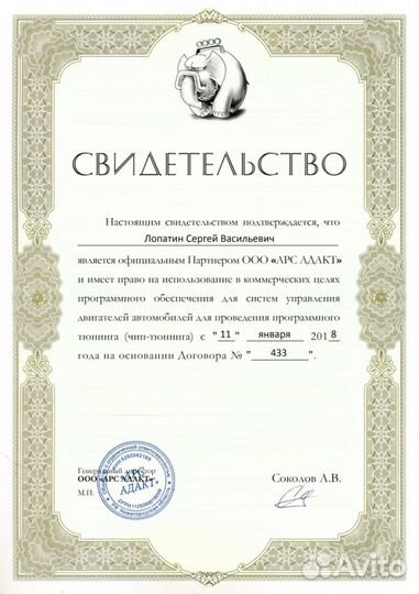 Чип-тюнинг в Смоленске. Удалить DPF, FAP, EGR immo