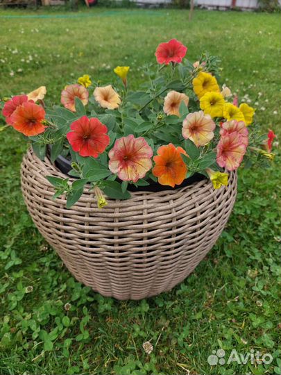 Кашпо из ротанга