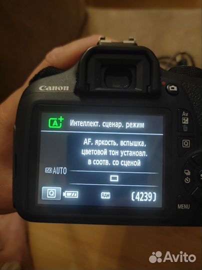 Цифровой фотоаппарат canon