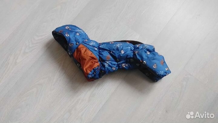 Много одежды и обуви для собак и кошек