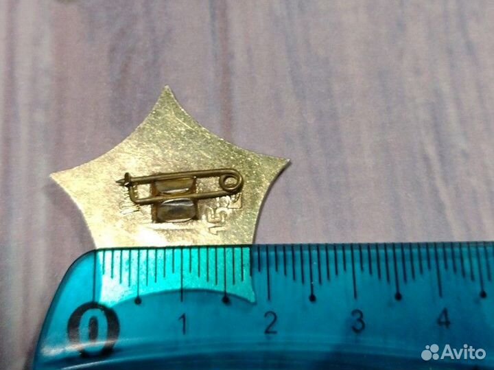 Значок СССР. Симбирск Ульяновск. Города