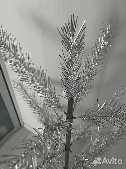 Елка серебристая СССР