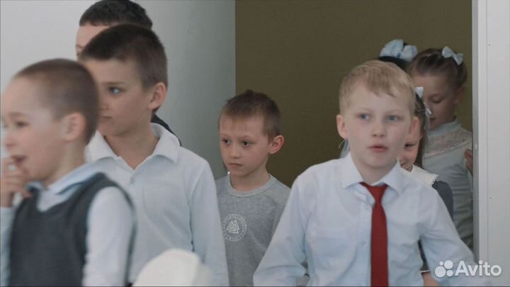 Продам готовый бизнес рисунки лесные жители