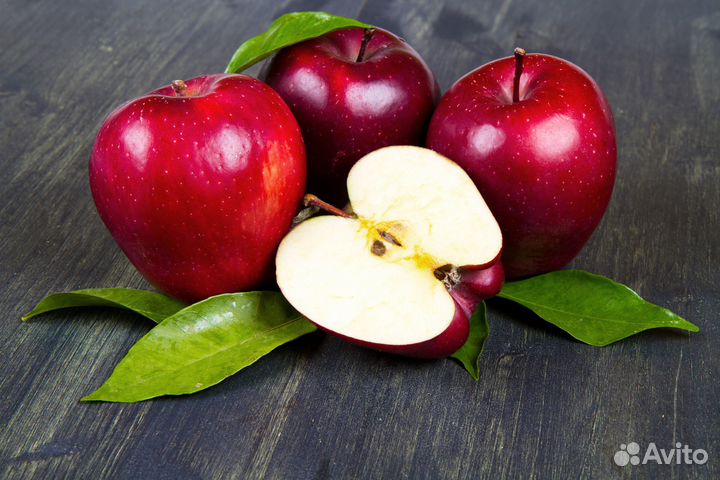 Сборщик яблок вахта Липецк