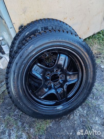 Nokian Tyres Hakkapeliitta 5 205/55 R16 94