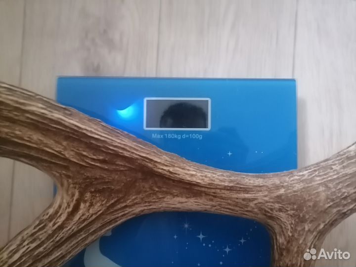 Продам рога лося