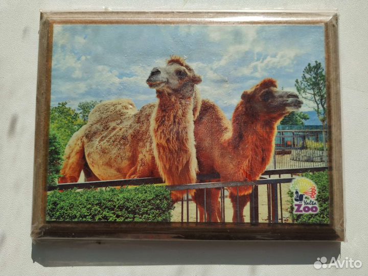 Картины светонакопительные