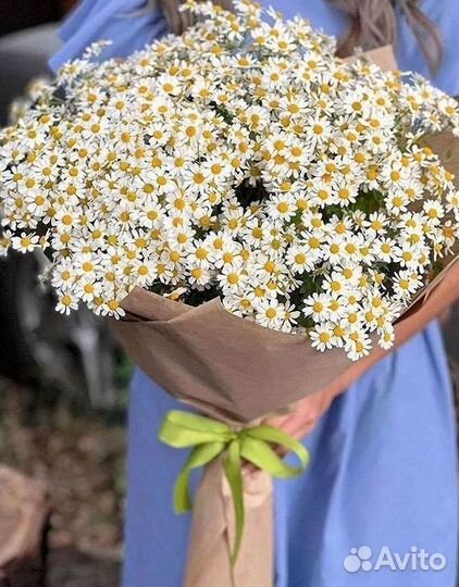 Букеты. Доставка ромашек