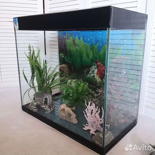 Аквариум
