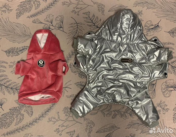 Одежда для собак