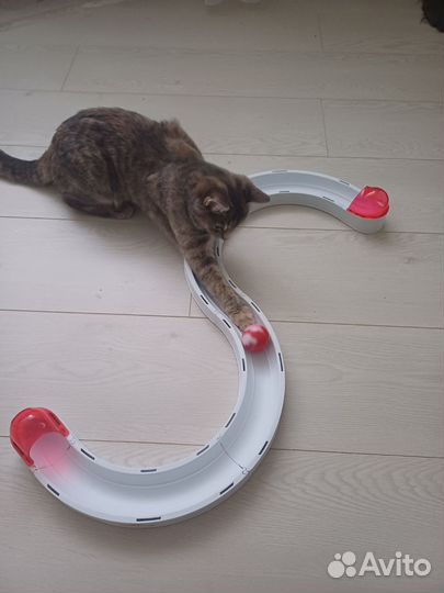 Игрушка для кошечки трек игровой