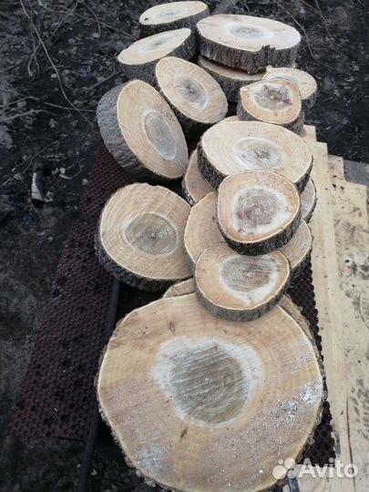 Спилы дерева