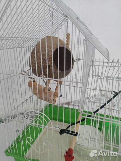 Клетка для попугая