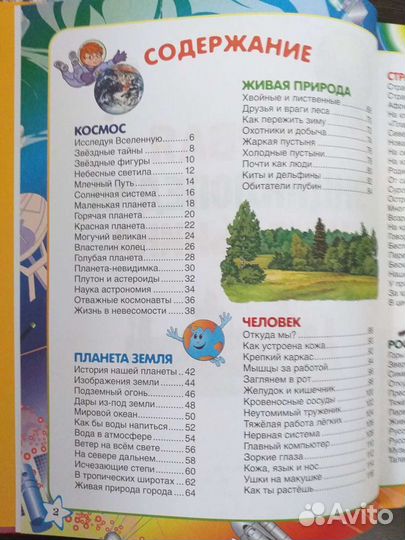 Первая энциклопедия школьника