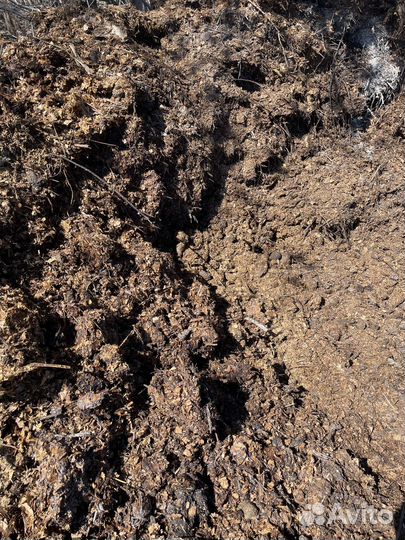 Конский перегной, навоз в Трубачево(за Степановкой